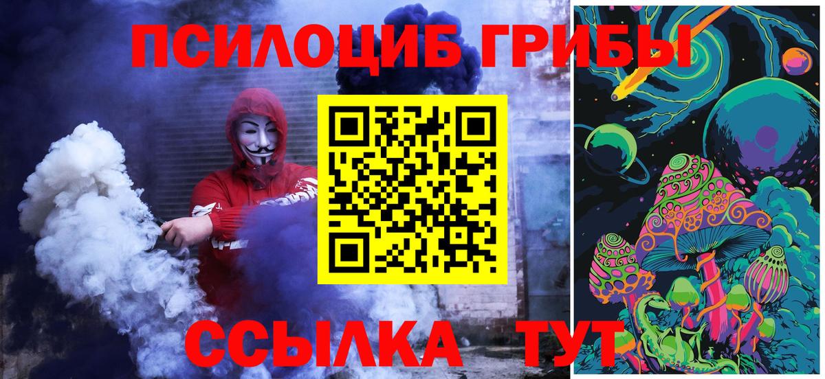 Псилоцибиновые грибы Cubensis Кулебаки